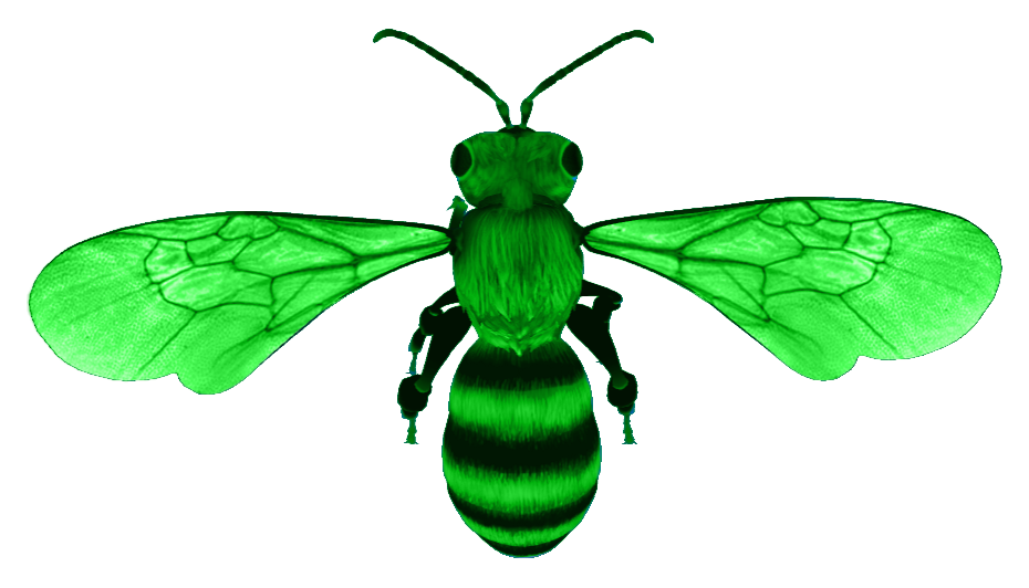 Bee collecting pollen